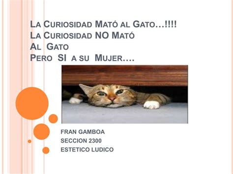 La Curiosidad Mat Al Gato Ppt