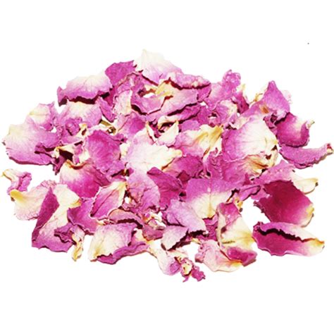 Dried Rose Petals Sayna Safir