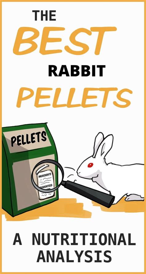 Which Brand Of Pellets Is Best For Rabbits A Nutritional Analysis