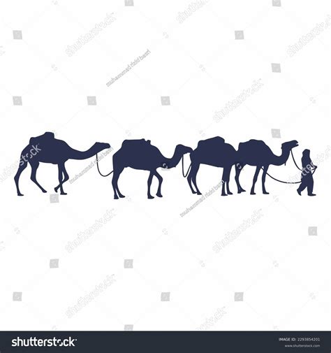 Camel Silhouettes Vector Image Cameleer Camels Stock Vector Royalty