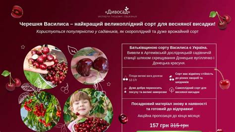 Черешня Василиса - найкращий великоплідний сорт