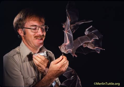 BCR 141: Merlin Tuttle, Bat Conservation - BirdCallsRadio™ | Exploring ...