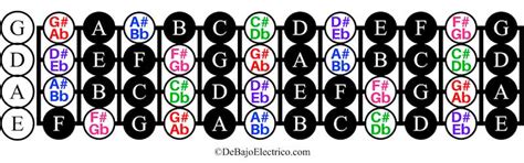 Notas Del Bajo Eléctrico【diagramas En Pdf】guía Completa 2023