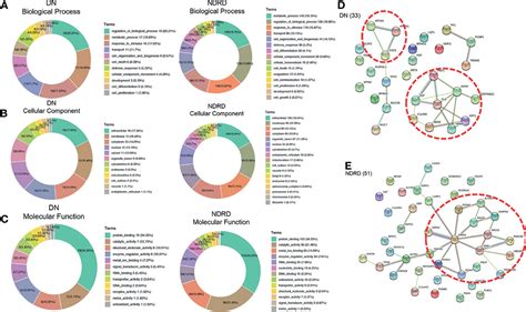 Frontiers Salivary Glycopatterns As Potential Non Invasive Biomarkers