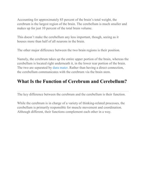 Cerebrum vs cerebellum | PDF