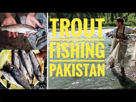 Fish Hunting In Pakistan Trout Fishing In Pakistan Machli Ka Shikar