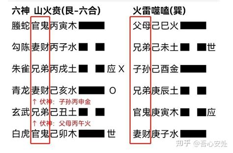 六爻入门之六亲与干支（6 1 知乎