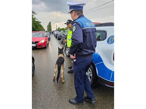 Seria abaterilor GRAVE continuă Acțiuni ale polițiștilor și