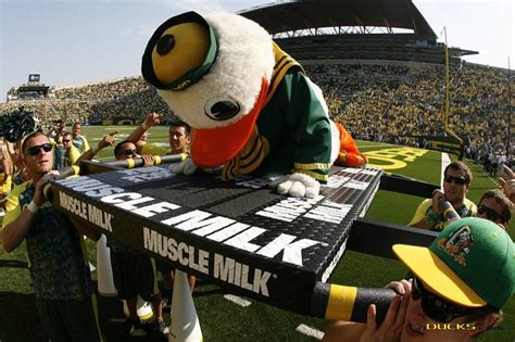 Push Ups Oregon Ducks Oregon Mascot