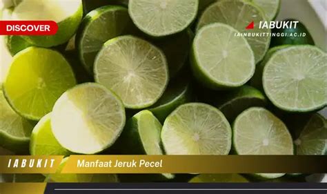 Intip Manfaat Jeruk Pecel Yang Jarang Diketahui Discover