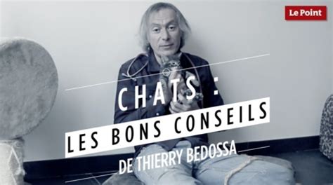 Vid O Thierry Bedossa Choisir Un Chat De Race Ou Un Chat De Goutti Re