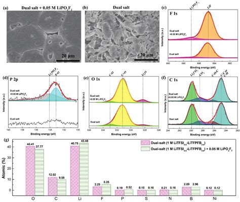 Characterization Of Li Metal Anode Electrolyte Interface Typical SEM