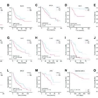 Kaplan Meier Survival Curves Comparing The High And Low Expression Of