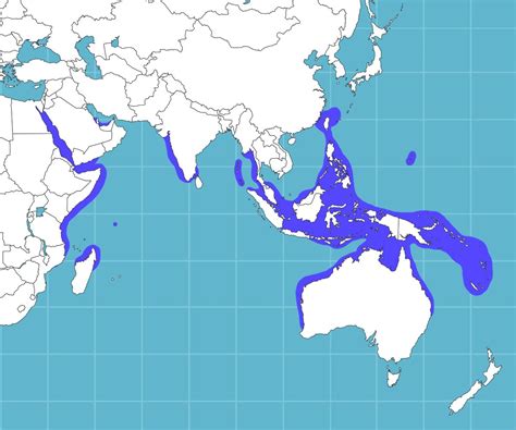 Dugong Habitat Map