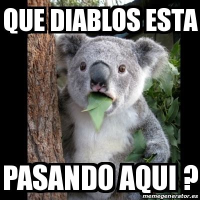 Meme Koala Que Diablos Esta Pasando Aqui