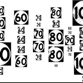 training   scientific diagram