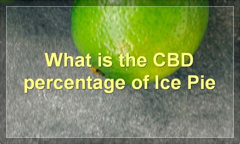 The Genetics Phenotypical Traits And History Of The Ice Pie Strain