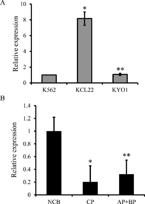 Real Time Quantitative Pcr Assessment Of The Relative Bcl2 Mrna