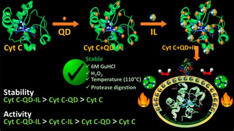 Engineering Cytochrome C With Quantum Dots And Ionic Liquids A Win Win