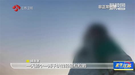 锐观察｜太湖苏州湾：违法电捕鱼为何难以禁绝？我苏网