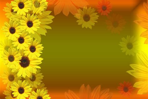 Sunflower Border Patterns