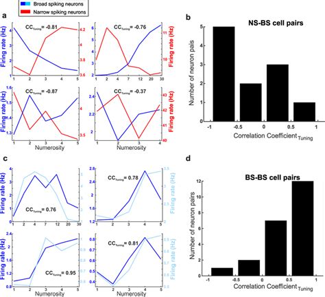 Tuning Properties Of Adjacent Numerosity Selective Neurons Tuning