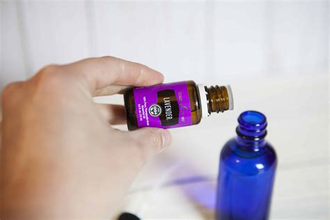 How To Make Homemade Bug Spray Diy Toxin Free Bug Spray A Sparkle Of Genius