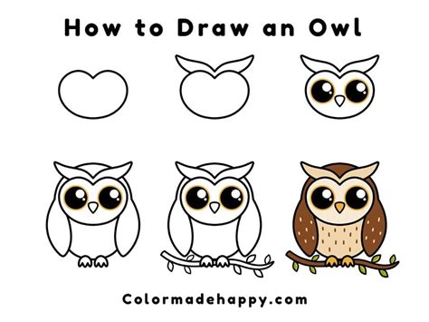 Owl Feet Drawing