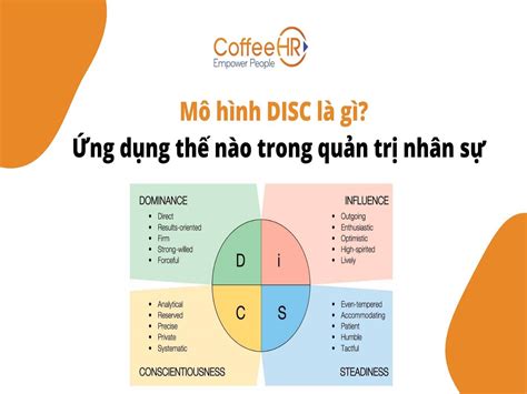 Các loại 12 nhóm tính cách disc được đánh giá chi tiết và chính xác