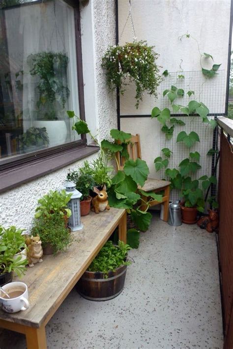 28 Amazing Indoor Balcony Garden Ideas For Shady Balconies