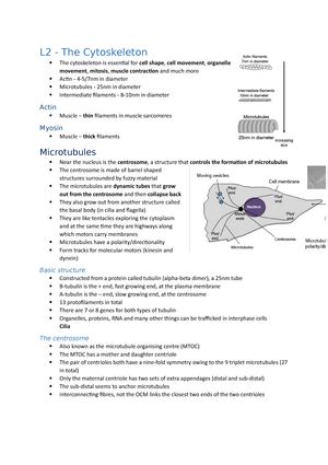 Lysosome 7 Detailed Lecture Notes Lysosomes Structure Lysosomes Are