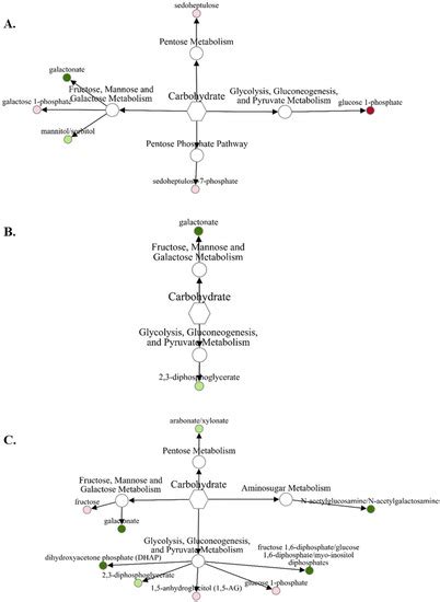 Metabolites | An Open Access Journal from MDPI 