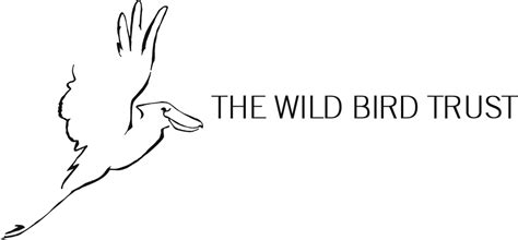 Bird Photography Logo LogoDix