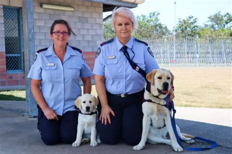 Maryborough Correctional Centre The Prison Direct