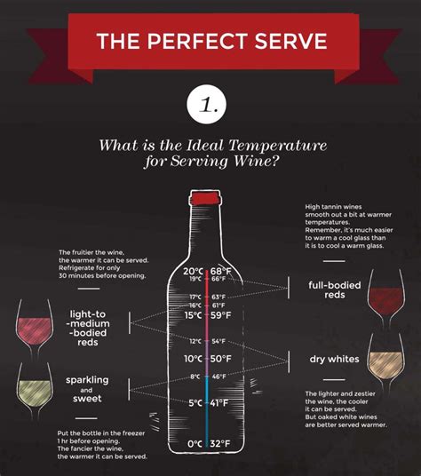 Wine Drinkers Guide Temperatures For Serving Infographic