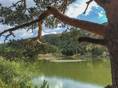 Rutas Por La Sierra De La Demanda Que Merece La Pena Descubrir