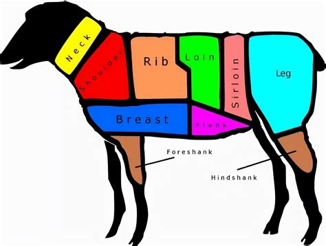 羊肉各部位图解与做法，值得收藏！ 哔哩哔哩