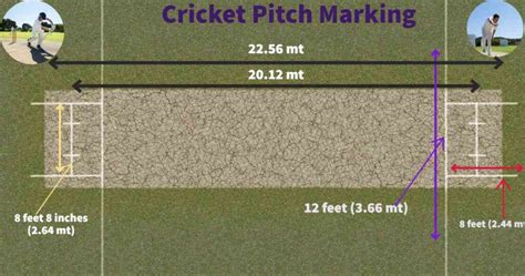 Cricket Pitch Measurements And Markings I Cricket Pitch, 56% OFF