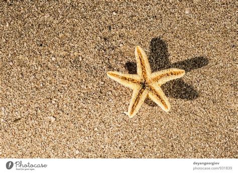 Sonnenaufgang Am Strand Ein Lizenzfreies Stock Foto Von Photocase