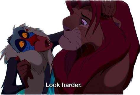 Simba and Rafiki png by riomadagascarkfp1 on DeviantArt