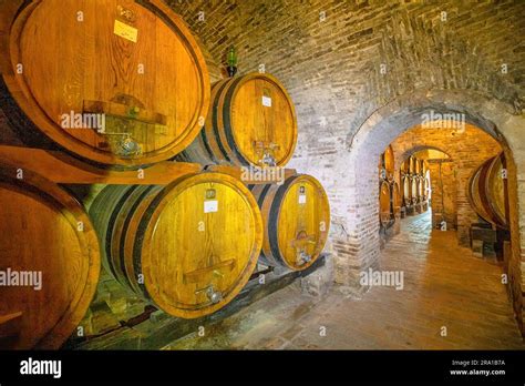 Montepulciano Sangiovese Vineyard Hi Res Stock Photography And Images