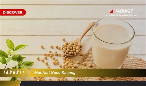 Temukan 7 Manfaat Susu Kacang Yang Bikin Kamu Penasaran Discover