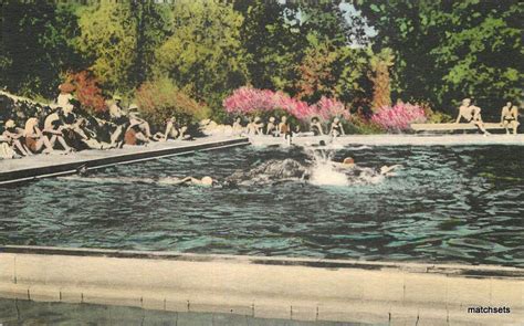 1920s Hand Colored Seigler Hot Springs Swimming Pool CALIFORNIA Postcard 1606 United States