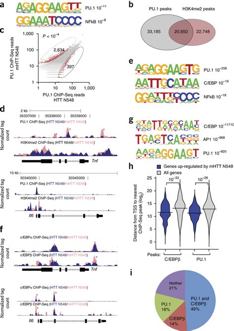 Htt Promotes Pro Inflammatory Gene Expression Via Pu And C Ebps A