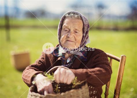 Very Old Woman With Head Scarf Sitting And Relaxing In The Garden