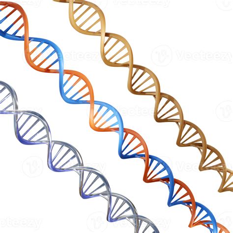 3d Rendering Multiple Illustration Dna Deoxyribonucleic Acid Perspective View Angle 20920769 Png