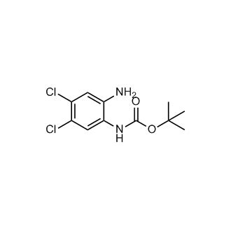 Tert Butyl Amino Dichlorophenyl Carbamate