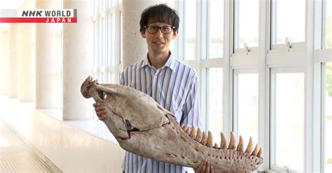 Dinosaurs Going Digital Kawabe Soichiro Paleontologist Associate