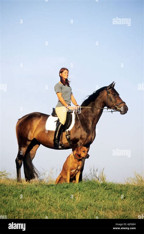 Women Hors And Dogs