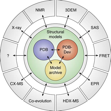 From Integrative Structural Biology To Cell Biology Journal Of